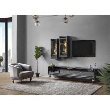 PUMA TV unit